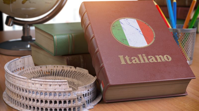 Traduttore professionista: la chiave per una comunicazione globale efficace